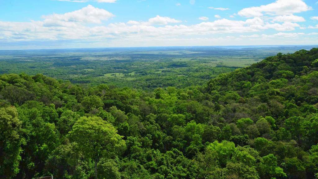 Posada Del Chaman Iguazu Puerto Iguazú Dış mekan fotoğraf