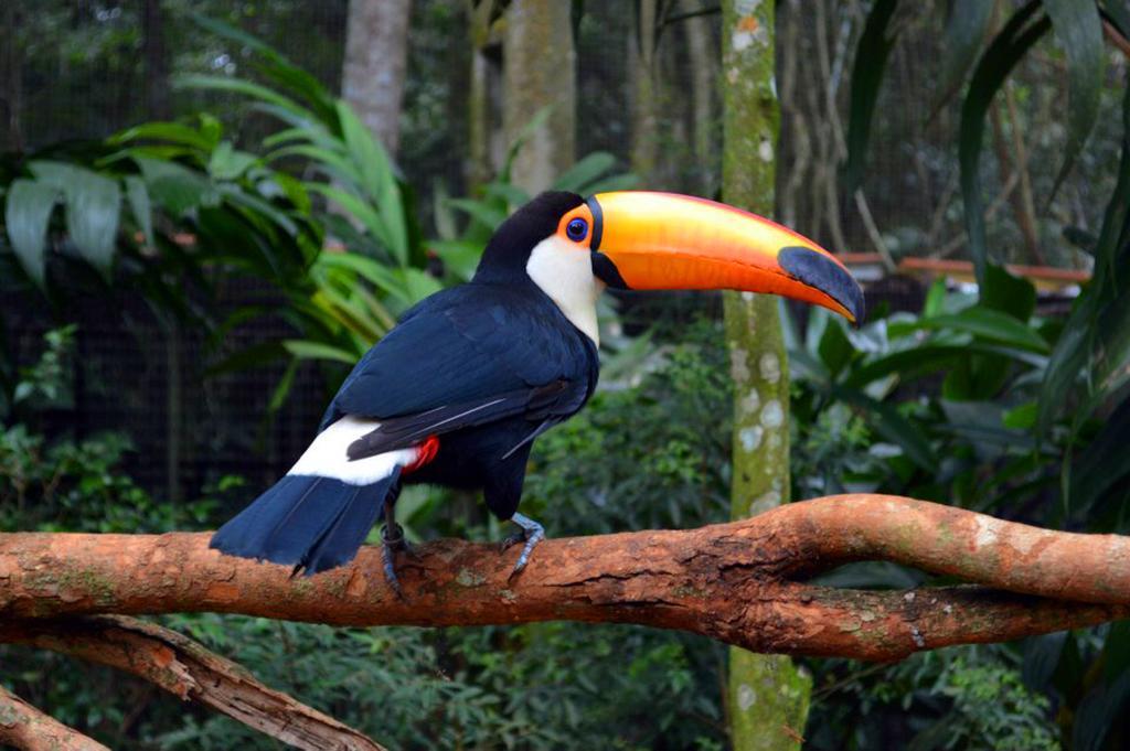 Posada Del Chaman Iguazu Puerto Iguazú Dış mekan fotoğraf